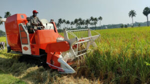 Commercial Agriculture
